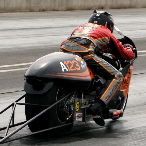 IMGL2977 edited square